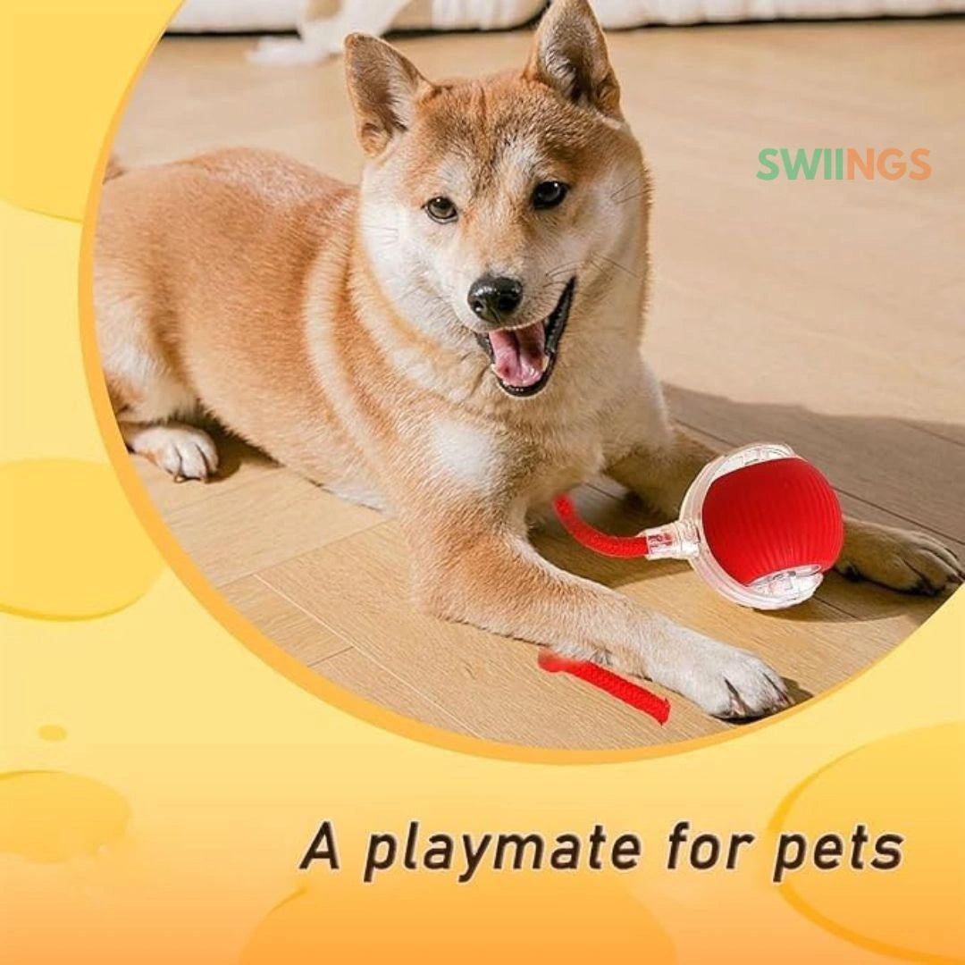 Interactive Automatic Rolling Pet Toy - USB rechargeable