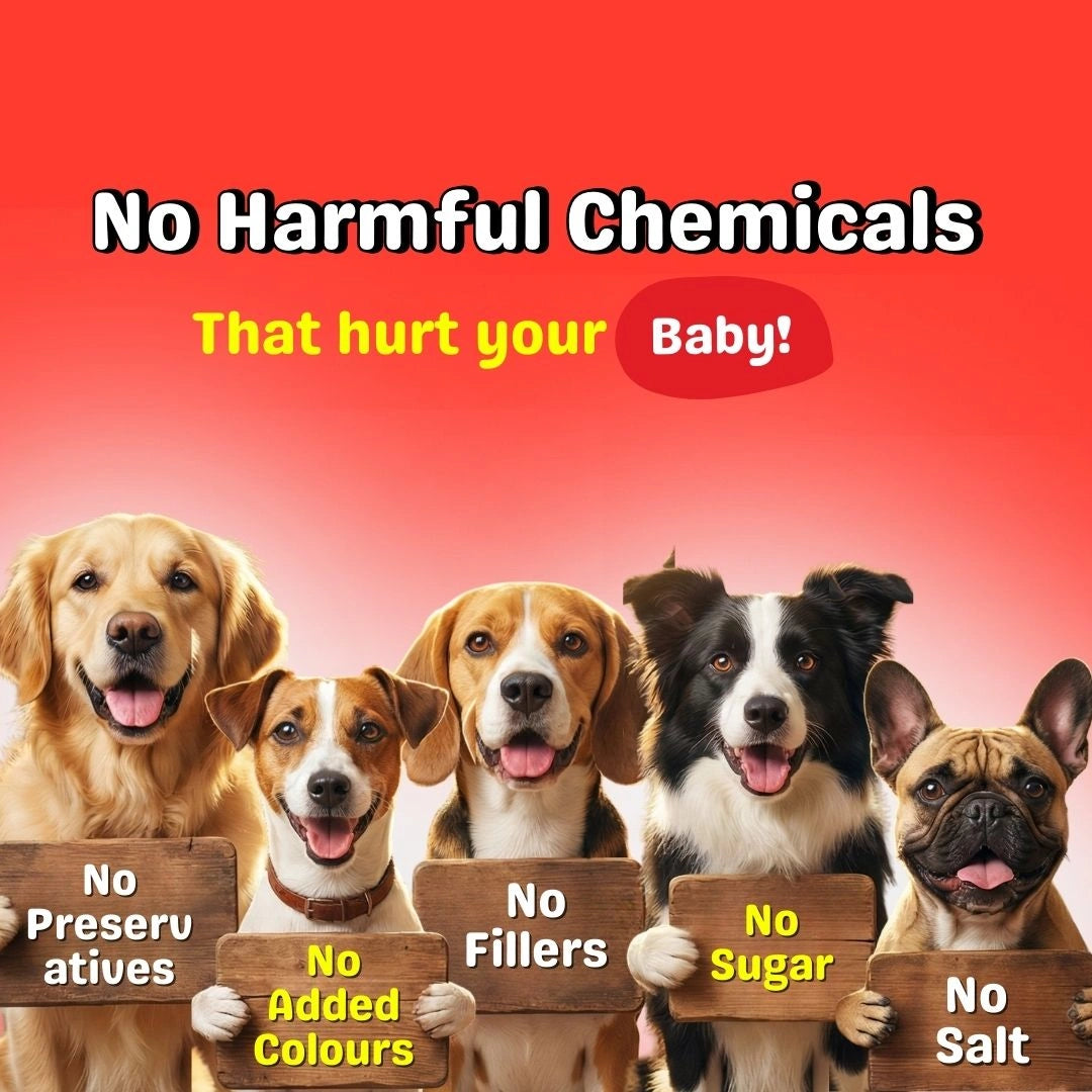 Chicken & Rice Weekly Trial Pack (7 x 100g)