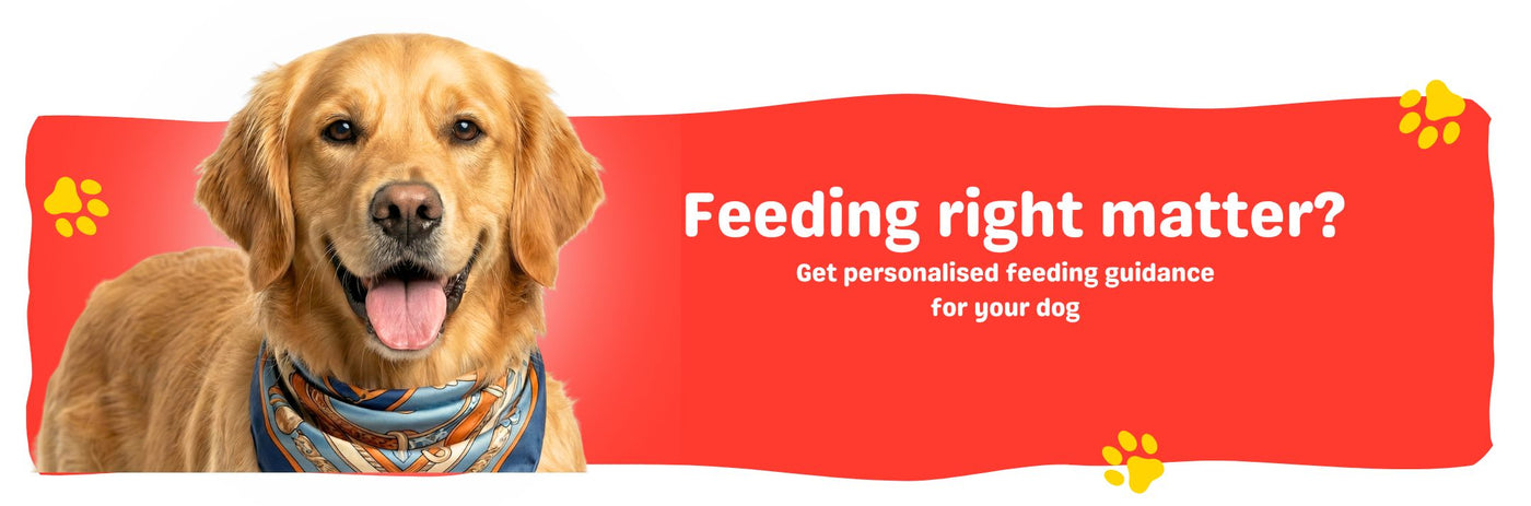 Product description image