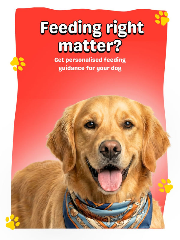 Product description image