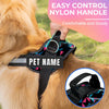 Pawsonalized Harness