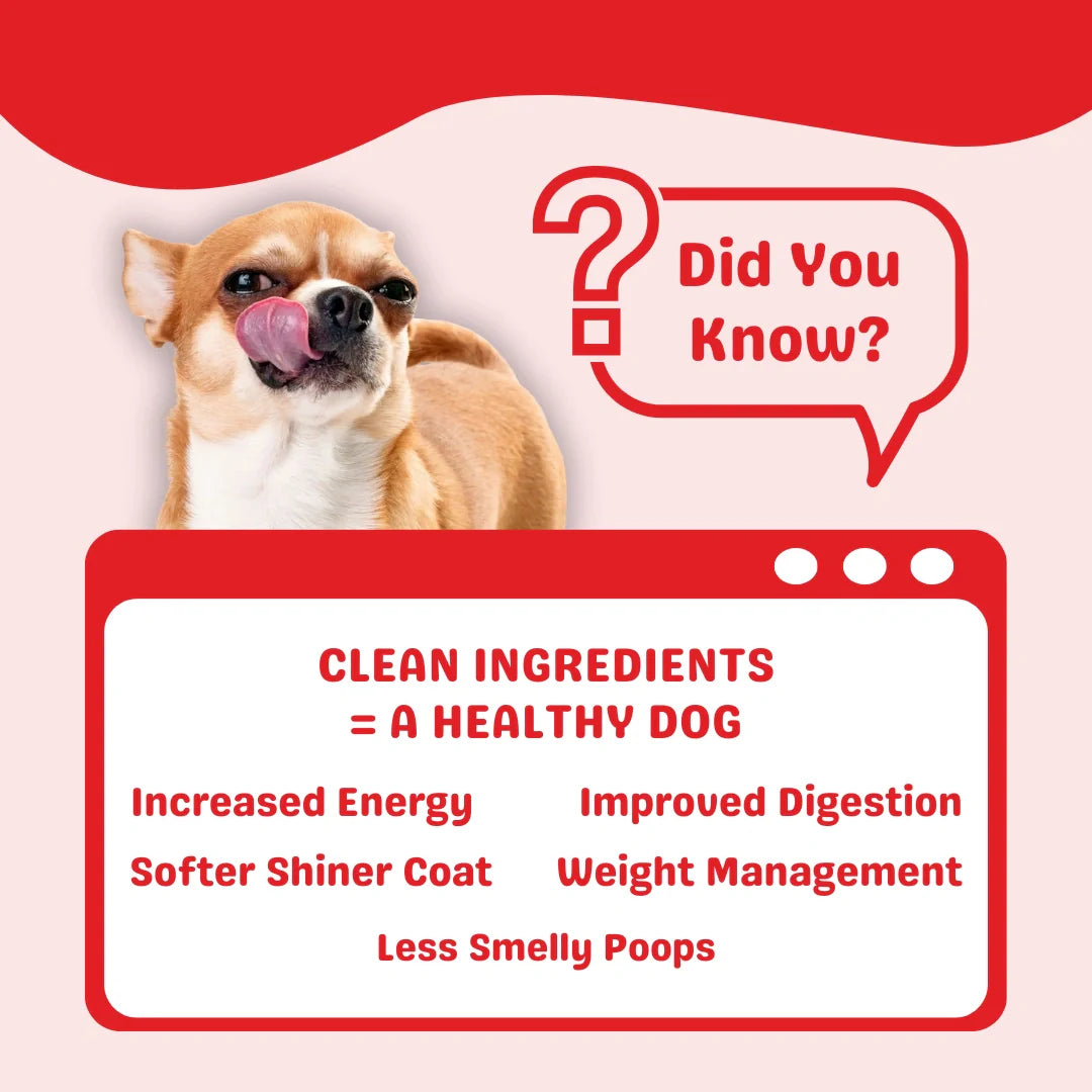 Trial Pack 3 Recipes(Chicken & Pumpkin, Chicken & Rice, Lamb Pawar)(3*100g)