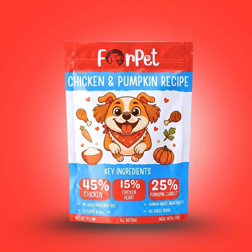 ForPet Chicken and Pumpkin recipe 100g pouch — gut-friendly human-grade dog food