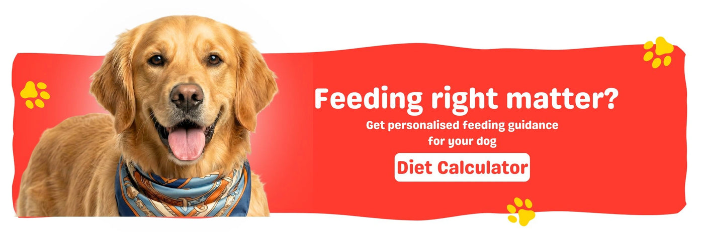 Product description image