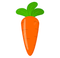 Carrot
