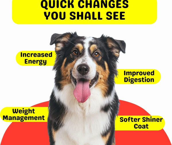 Product description image