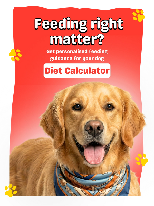 Product description image