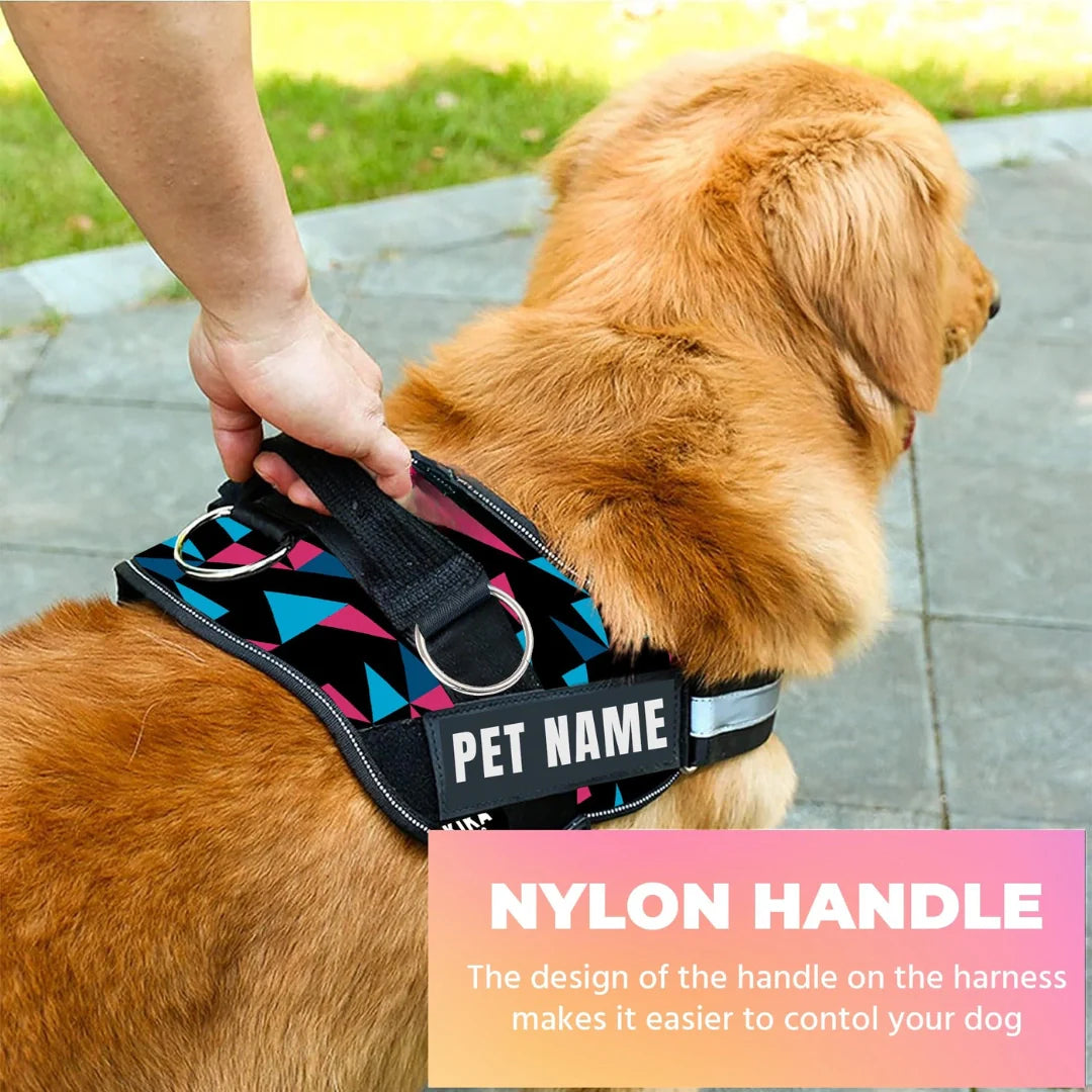 Pawsonalized Harness