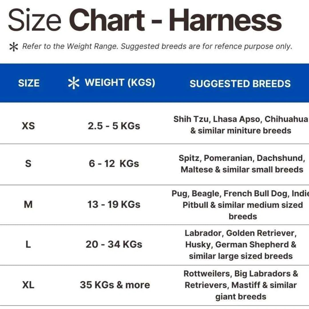 Pawsonalized Harness