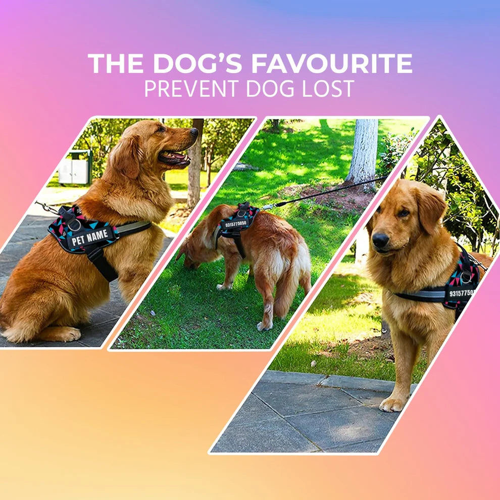 Pawsonalized Harness